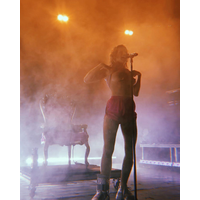 Tove Lo Riviera Theatre Chicago, Illinois 19Feb20 84884784_1059770417709583_1511655719988216696_n-7lJwArED.jpg